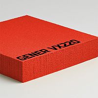 Вибромат GENER VX220 1000х2000х25 мм (2 м2)